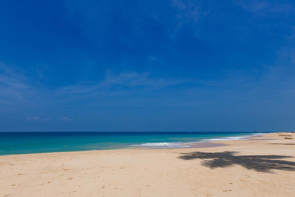 Blue Parrot Beach Villa أمبالانغودا المظهر الخارجي الصورة