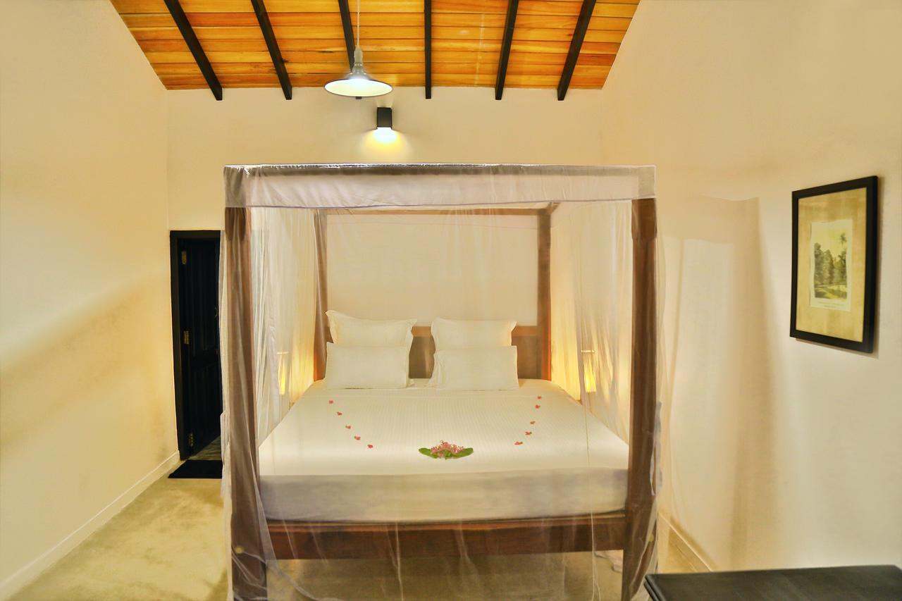 Blue Parrot Beach Villa أمبالانغودا المظهر الخارجي الصورة